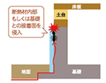 イエシロアリの侵入経路