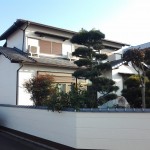 20130108_085353.jpg