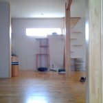 20130720_084506.jpg