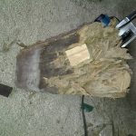 20130930_105640.jpg
