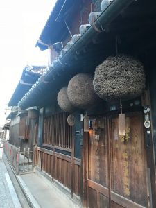 杉玉