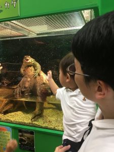 お盆はいかがお過ごしでしょうか