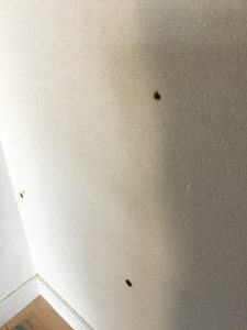 笠岡　Ｆ様邸　中古改修