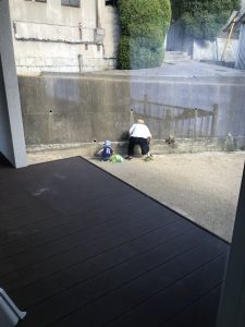 草取り。