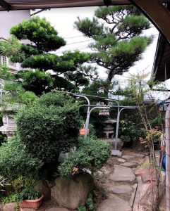 植木の剪定工事