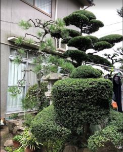 植木の剪定工事