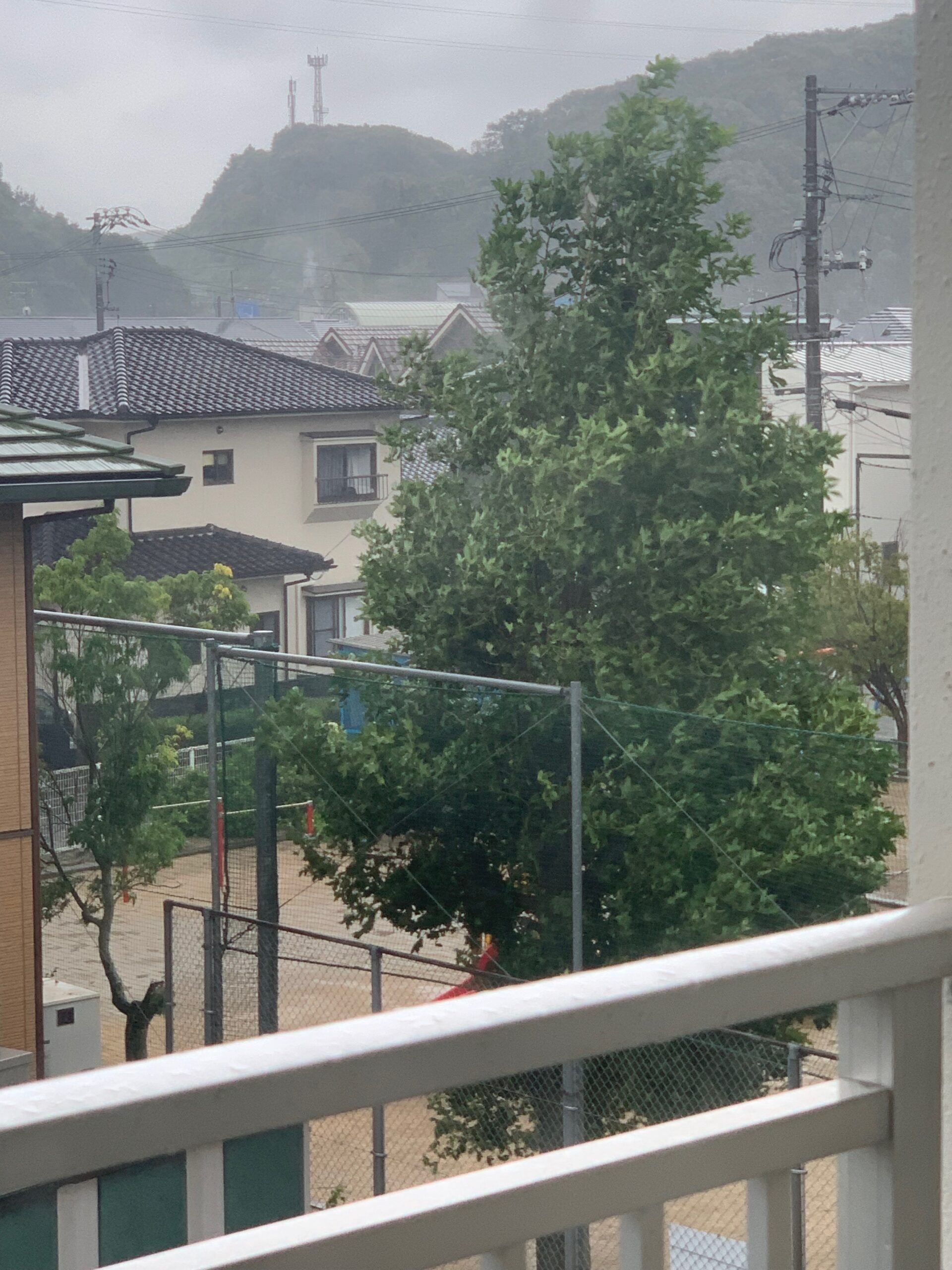 台風一過