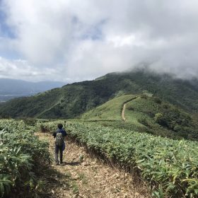 蒜山で登山