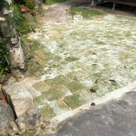 鴨方 O様邸 外部工事 芝を敷きました。