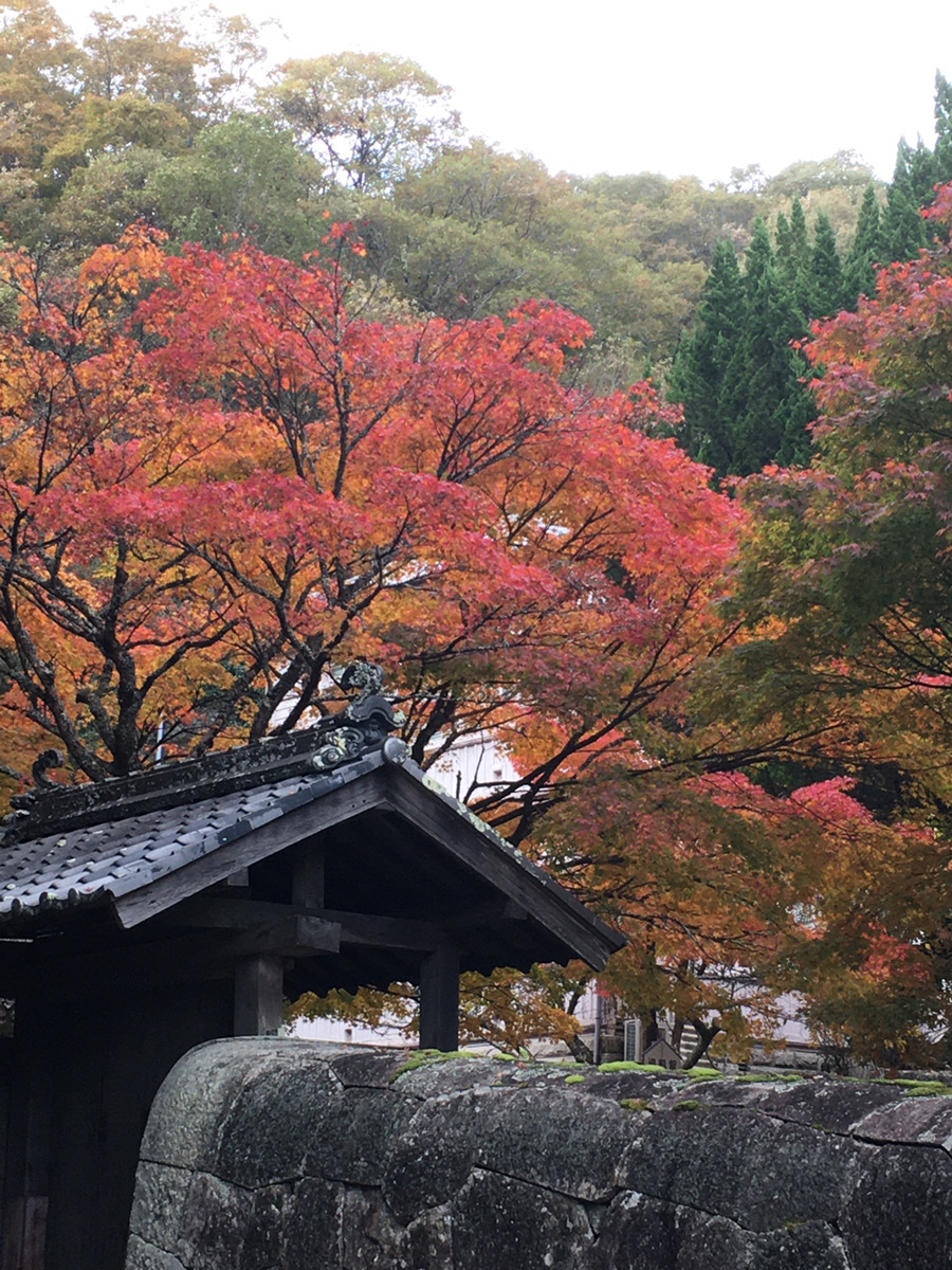 紅葉も色ずく季節