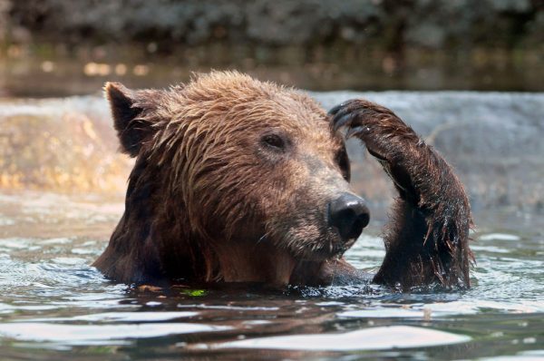 冬こそ気を付けたい　ヒートショック予防リフォーム