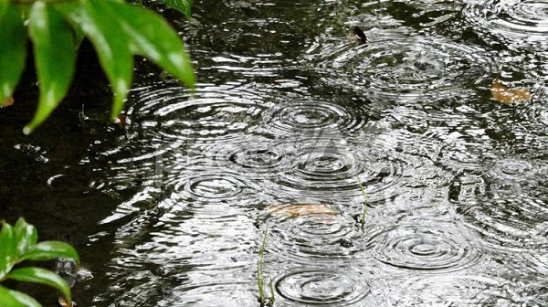 台風と雨