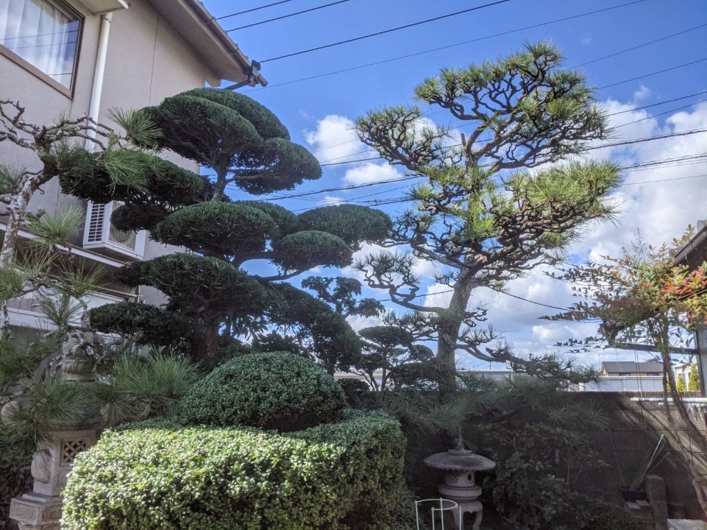 倉敷市│毎年植木の剪定をお願いします♪