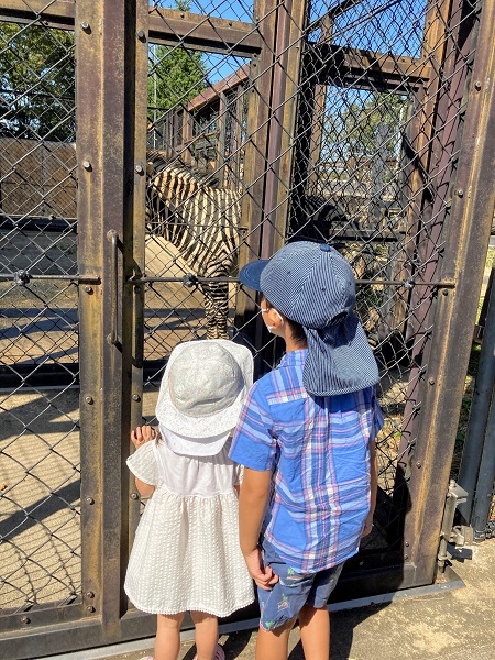 久しぶりに動物園に行きました！