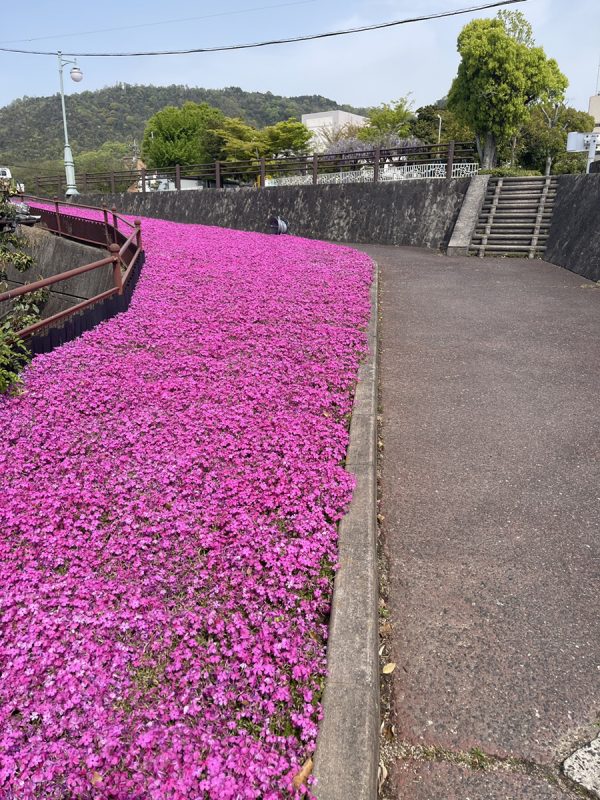 現場移動中に写真を撮りました！