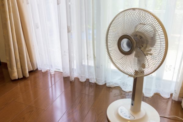 夏の電気代対策、できてますか？