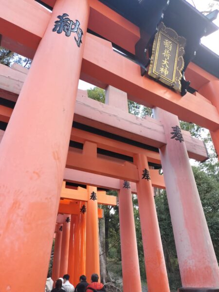 京都旅行へ行きました⛩