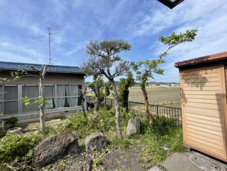 庭木の剪定・伐採、承ります！！