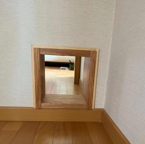 ネコちゃん専用の通り道