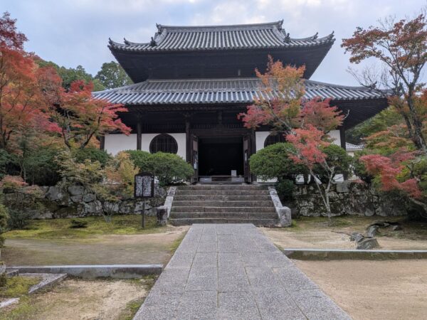 11月！紅葉の季節ですね！