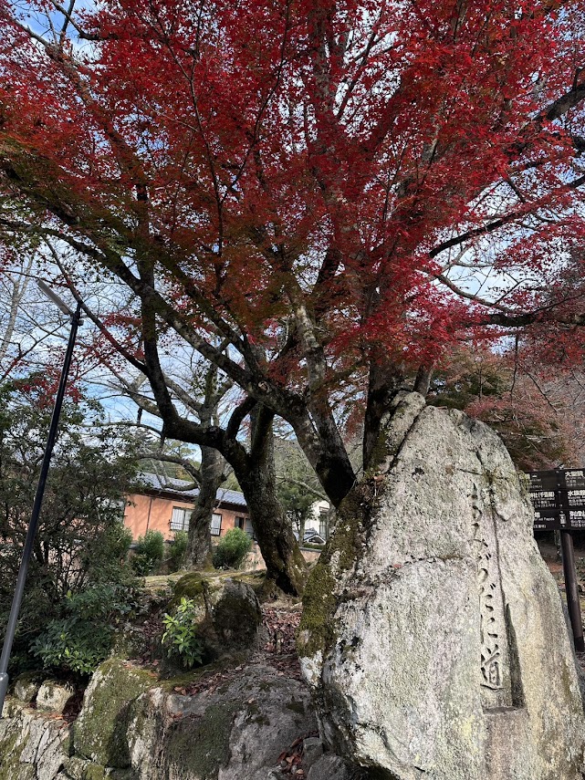 秋を満喫！リフレッシュ！