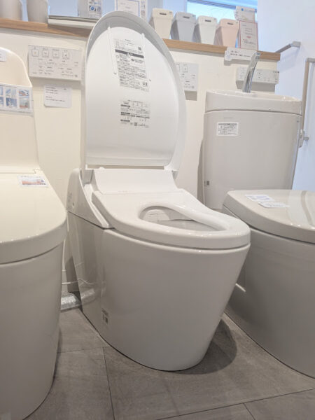 新しい展示品がやってきました！