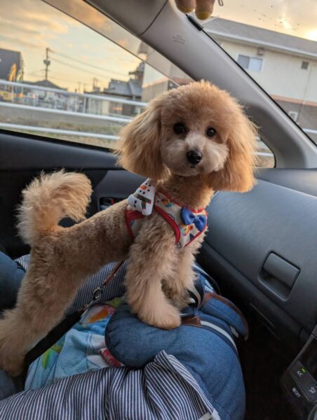 正月休みいかがお過ごしでしょうか？