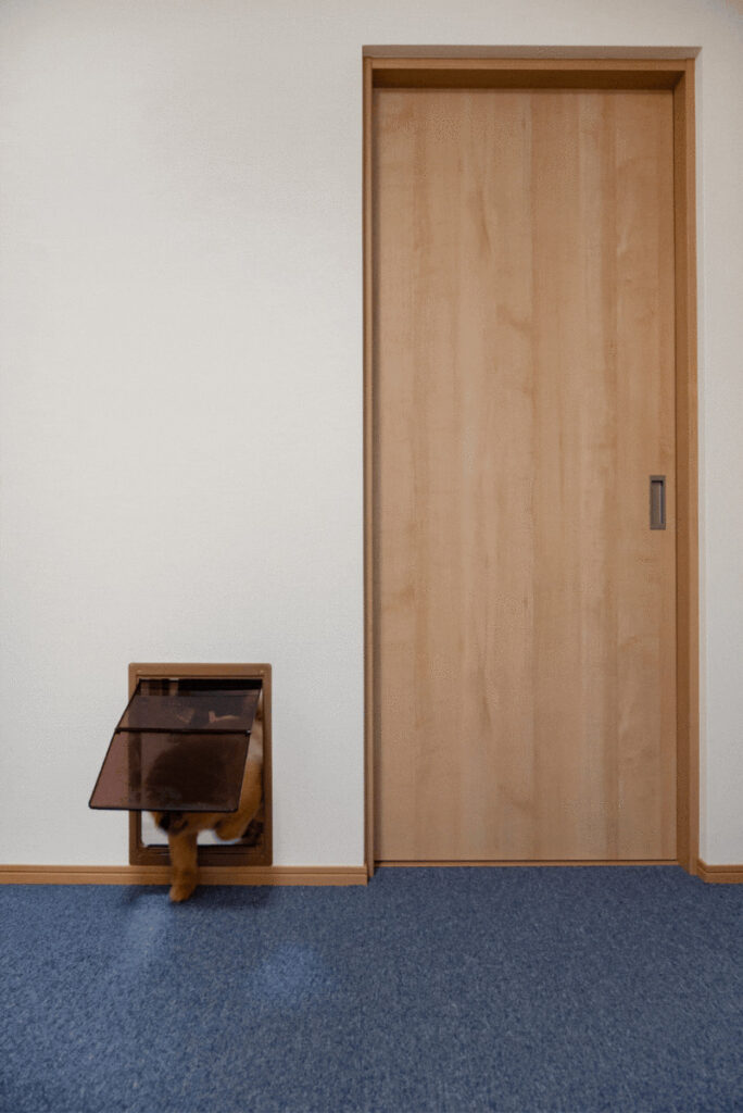 岡山市│ペットと家族の快適な毎日を叶える、同居リノベーション