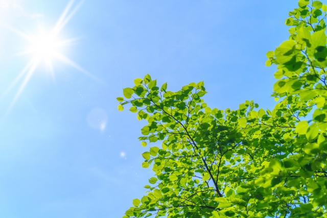 2026年の猛暑に備える！室内熱中症を防ぐカギは「窓」にありました