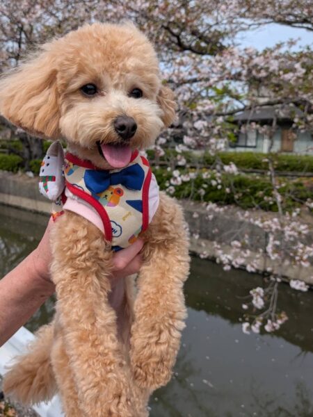 GW期間の休業のご案内