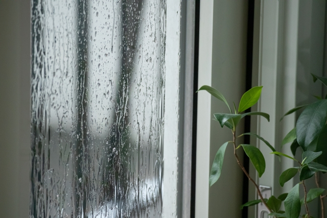 【5月中に済ませたい】梅雨を快適に乗り切る！お家のお手入れポイント3選